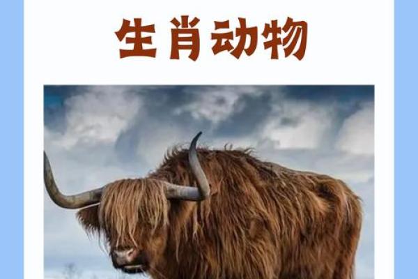 临危不惧是什么生肖