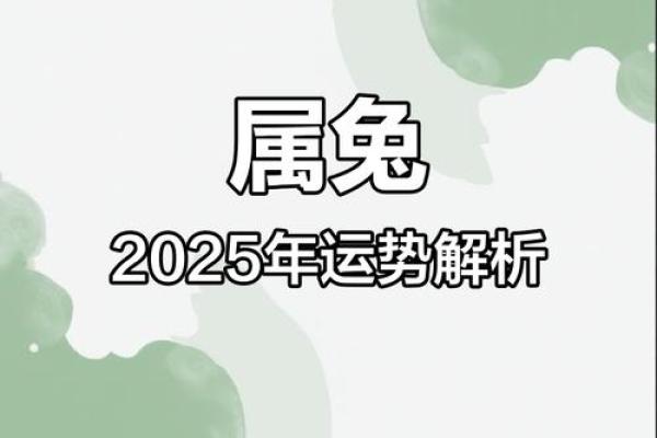2025年属兔人幸运色_2025年属蛇1977人的幸运颜色