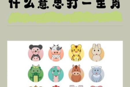 先入为主是什么生肖