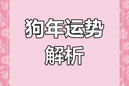 2025年属狗人运势_2025年生肖狗全年运程