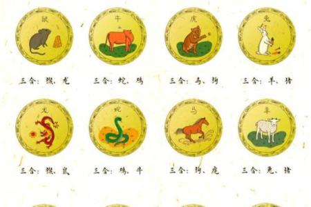 三从四德是什么生肖