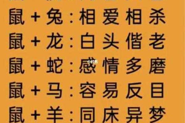 “凤头猪肚”打一生肖是什么，凤头猪肚指什么生肖答案解释释义落实