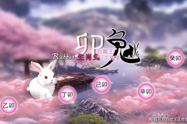 兔年2025年的运势怎么样_2025年兔年运势解析财运事业爱情全预测 兔年2025年的运势怎么样_2025年兔年运势解析财运事业爱情全预测