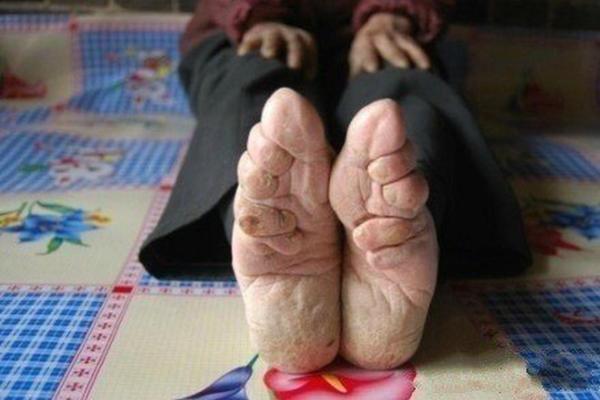 三寸金莲是什么生肖