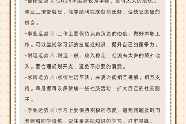 2025年属兔运势详解财运事业感情全面解析