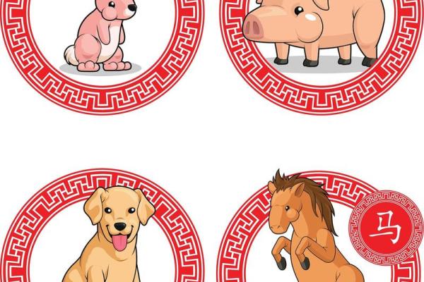 形影不离是什么生肖