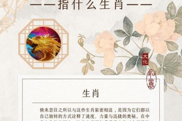 勾三搭四是什么生肖