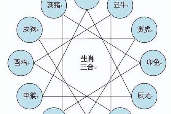 属马的和什么属相最配、相克