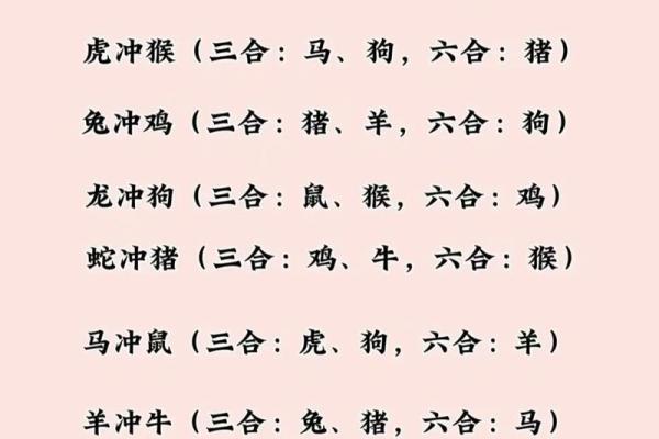 入木三分的生肖(入木三分的生肖是什么)
