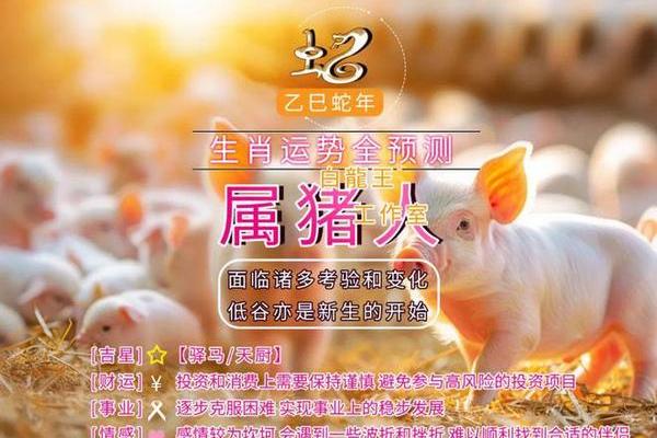 属猪的人2025年多大_2025年属猪人年龄揭秘你今年多大 属猪的人2025年多大_2025年属猪人年龄揭秘你今年多大