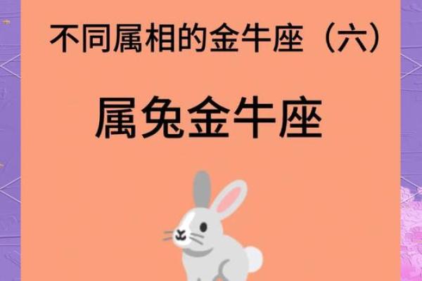 属兔最佳婚配_属兔最佳婚配前十名属相 属兔最佳婚配_属兔最佳婚配前十名属相