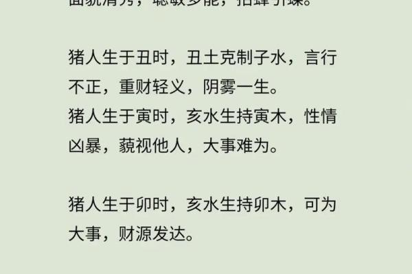 属猪2007年是什么命_2007年属猪人命运解析金猪之命详解 属猪2007年是什么命_2007年属猪人命运解析金猪之命详解