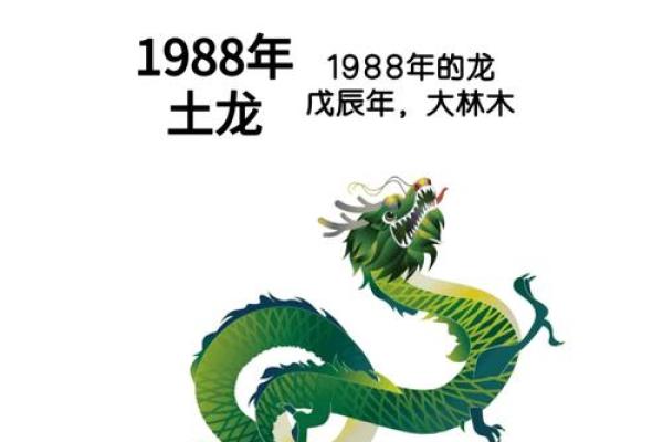 1988属龙2025年运势全解全年运程与逐月吉凶预测