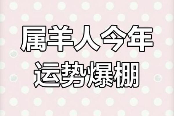 2025年属羊人运程 2025年属羊人运程详解运势大揭秘与提升指南