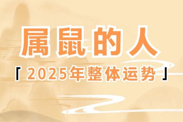 2025年属鼠人每月运势及运程 2025年属鼠人每月运势及运程