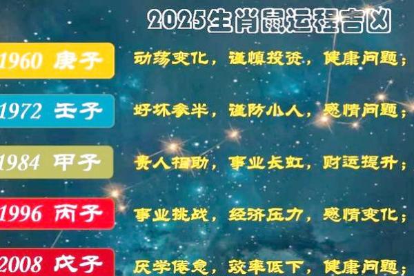 1984年老鼠2025年运势 1984年老鼠2025年运势