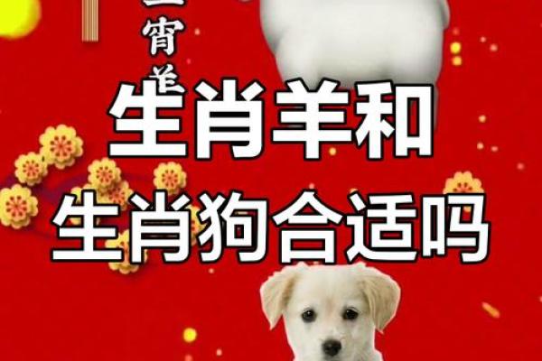 属羊跟属蛇的姻缘怎么样 属羊与属蛇的姻缘解析缘分深浅与相处之道 属羊跟属蛇的姻缘怎么样 属羊与属蛇的姻缘解析缘分深浅与相处之道