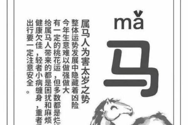 78年属马人2025年运势运程详解生肖运势精准预测与建议 78年属马人2025年运势运程详解生肖运势精准预测与建议