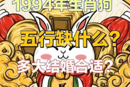 94年的狗是什么命 五行属什么 1994年属狗五行属什么揭秘94年狗命格与运势