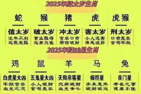 1988年2月12日生肖之谜农历正月出生属龙还是属兔