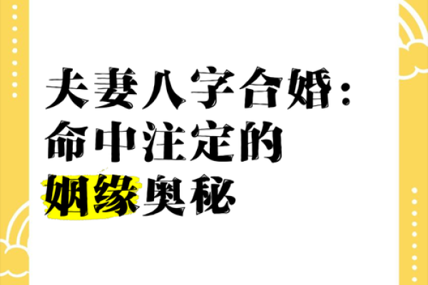 听说姻缘命中注定 听说姻缘命中注定揭秘命运与爱情的奇妙联系