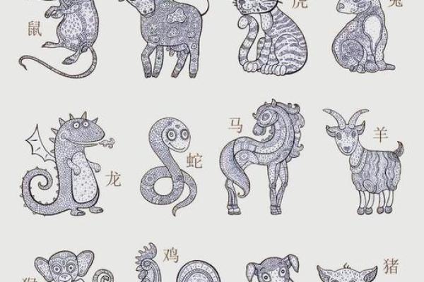 2024属猪要小心一个人 2024年属猪人需警惕小心身边这个人 2024属猪要小心一个人 2024年属猪人需警惕小心身边这个人