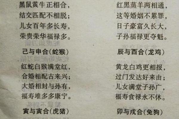 属马的属相婚配表 属马婚配哪个属相最好