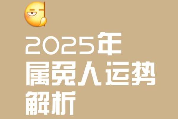 2025年属兔的人多大 2025年属兔的人多大年龄计算与运势解析 2025年属兔的人多大 2025年属兔的人多大年龄计算与运势解析