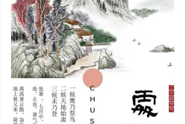 秋高气爽指什么生肖