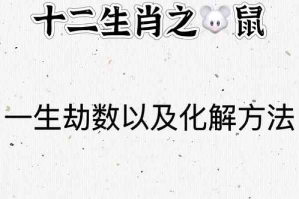 属鼠的人在新的一段感情中会和前任藕断丝连吗