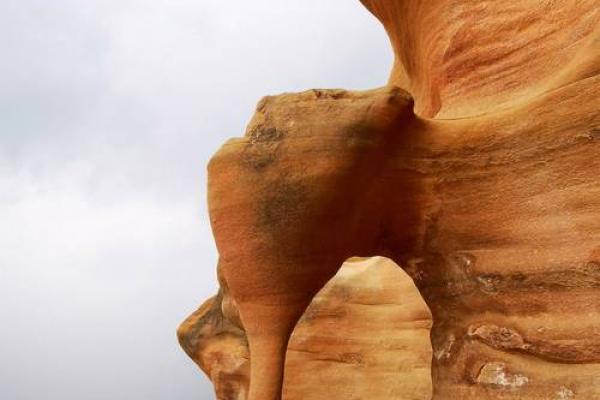 “沧海桑田”是代表哪个生肖,沧海桑田是什么生肖答案解释释义落实 “沧海桑田”是代表哪个生肖,沧海桑田是什么生肖答案解释释义落实