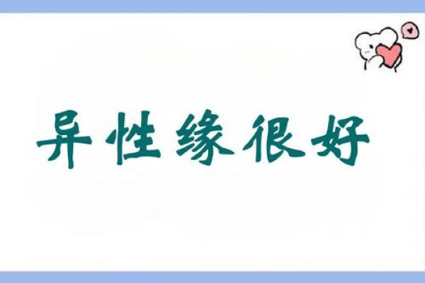 白羊女失去后才懂珍惜(白羊女失去才后悔)