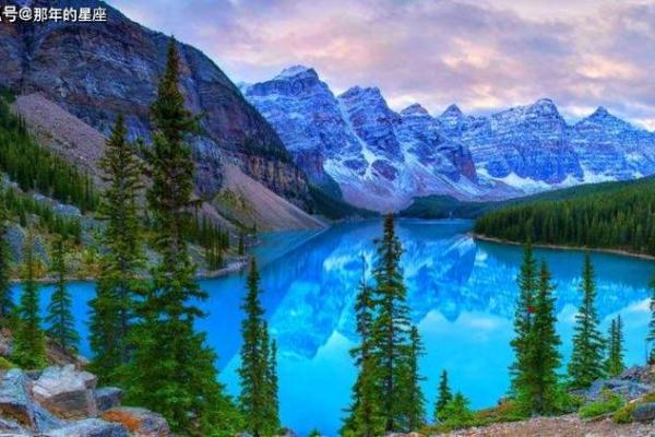 山清水秀打一生肖(山清水秀打一生肖是什么动物)