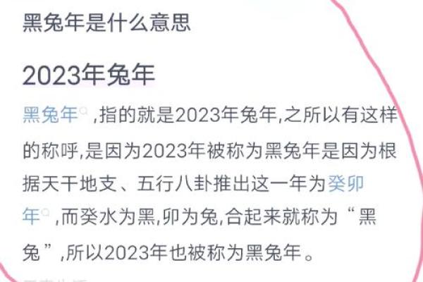 2023年黑兔年大灾难