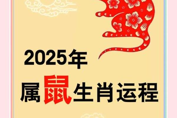 84年属鼠2025年运势及运程详解
