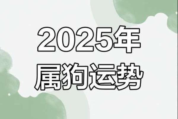 1982年属狗2025年运势 1982年属狗2025年运势详解事业财运与感情走向 1982年属狗2025年运势 1982年属狗2025年运势详解事业财运与感情走向