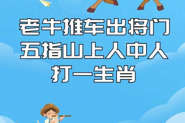 货比三家打一生肖 货比三家打一生肖