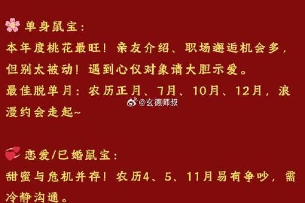 鼠今年的运势如何2025 鼠今年的运势如何2025