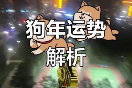 2025年属狗人运势详解财运事业感情全解析_1739572058