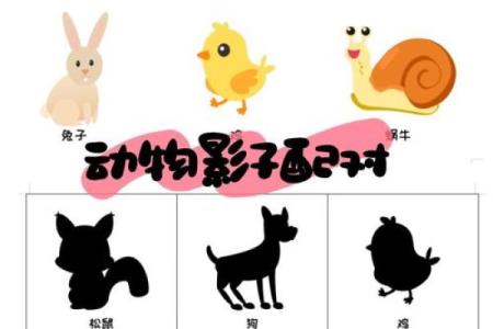 有影无踪是什么动物