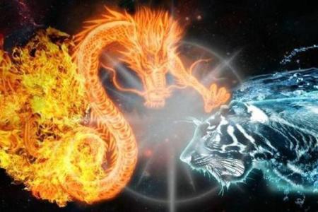 龙争虎斗正确生肖