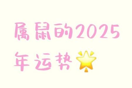 96年属鼠男2025年的运势