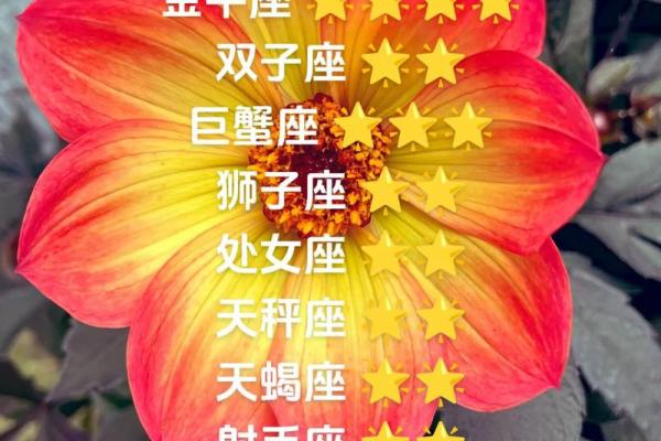 白羊座的运气好不好(白羊的运势如何) 白羊座的运气好不好(白羊的运势如何)