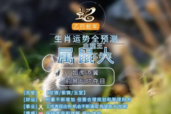 1972年属鼠人2025年全年运势