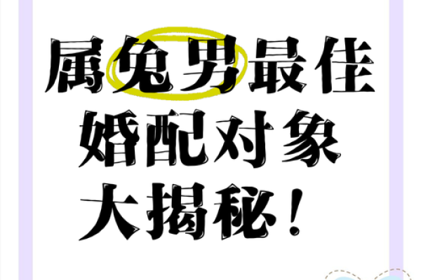 女属兔男属龙婚配合适吗_属兔男和属龙女婚配怎么样 女属兔男属龙婚配合适吗_属兔男和属龙女婚配怎么样