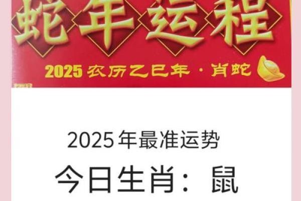 鼠的人2025年的运势及运程