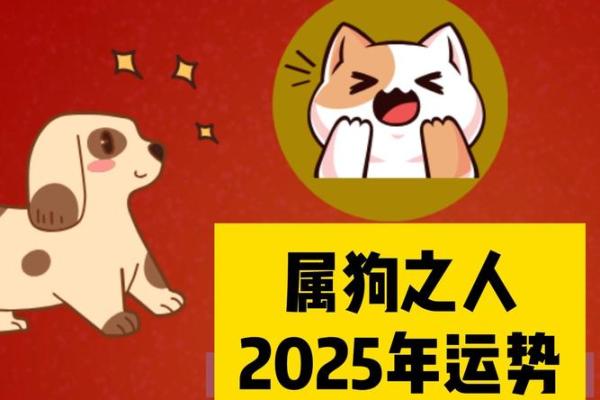 94年属狗的2025年运势怎么样_1994年是苦命狗还是富狗 94年属狗的2025年运势怎么样_1994年是苦命狗还是富狗