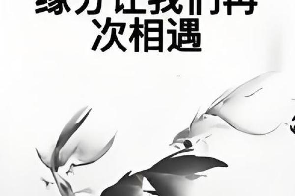 相遇就是缘分_相遇就是缘分揭秘人生中的奇妙邂逅