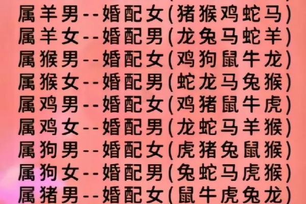 属猪男和属蛇女的相配吗_属猪男和属蛇女相配吗揭秘最佳婚配指南 属猪男和属蛇女的相配吗_属猪男和属蛇女相配吗揭秘最佳婚配指南