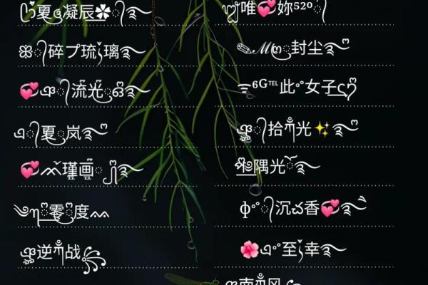 二婚网_二婚网名怎么取